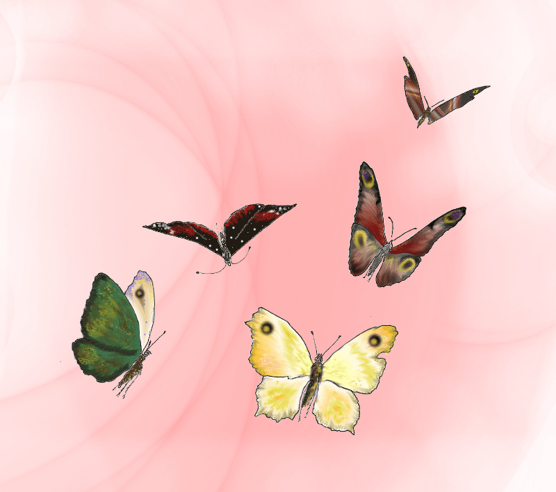 Schmetterlinge-800-roetlich